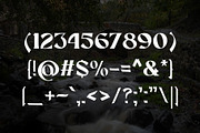 Wishborne - Medieval Serif, a Serif Font by HipFonts (Thumbnail 7 of 7)