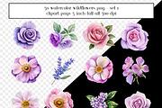 50 Watercolor Painted Wildflowers, an Object Graphic by AllTheKewtClipart (Thumbnail 4 of 5)