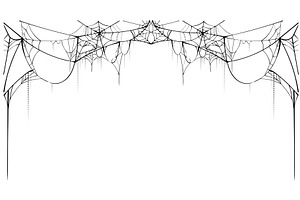 Black torn spider web on white