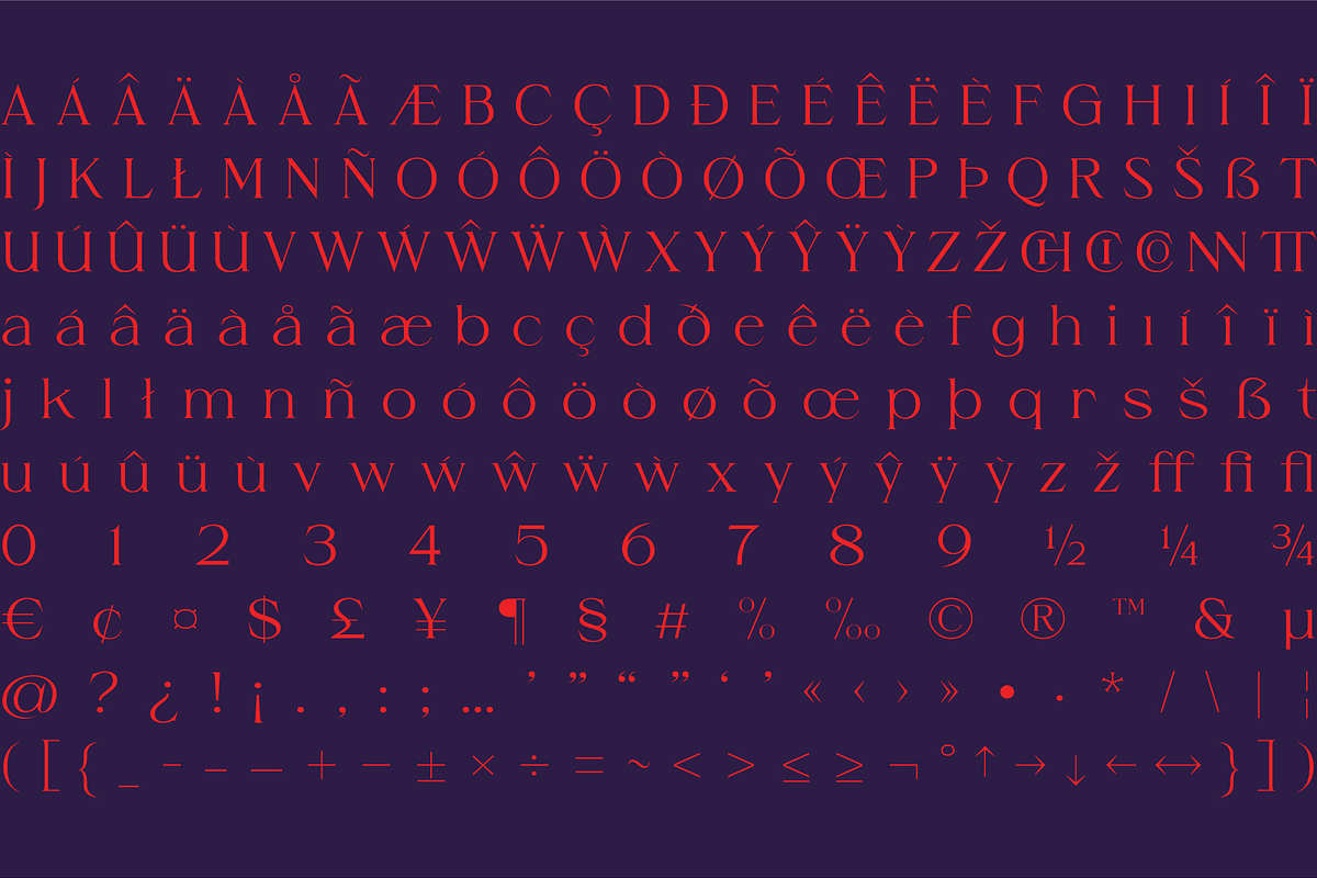 Grise - Variable Serif (18 Fonts), a Serif Font by VectorKiss GraphicsSupply (Photo 11 of 18)