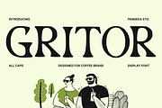 Gritor - Editorial Handmade Font, a Serif Font by Pandeka Studio (Thumbnail 1 of 10)