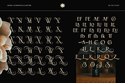Semaro - Elegant & Luxury Font, a Serif Font by Gilar Studio (Thumbnail 12 of 15)
