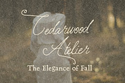 Handwritten Elegant Serif & Script, a Handwritten Font by Laras Wonderland (Thumbnail 10 of 12)