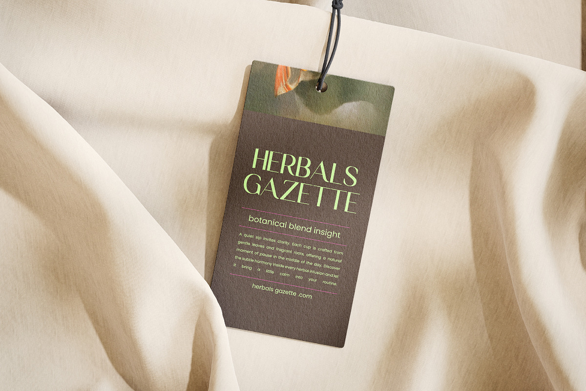 Ragaen Modern Display Sans Serif, a Sans Serif Font by Jaruka (Photo 2 of 10)