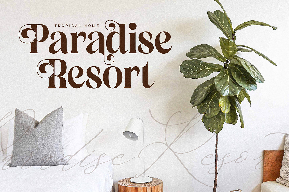 Copeland New Modern Serif Font, a Serif Font by Storytype Studio (Photo 2 of 15)