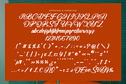 Beautiful Reluxes Modern Elegant, a Handwritten Font by operatype.co (Thumbnail 9 of 10)