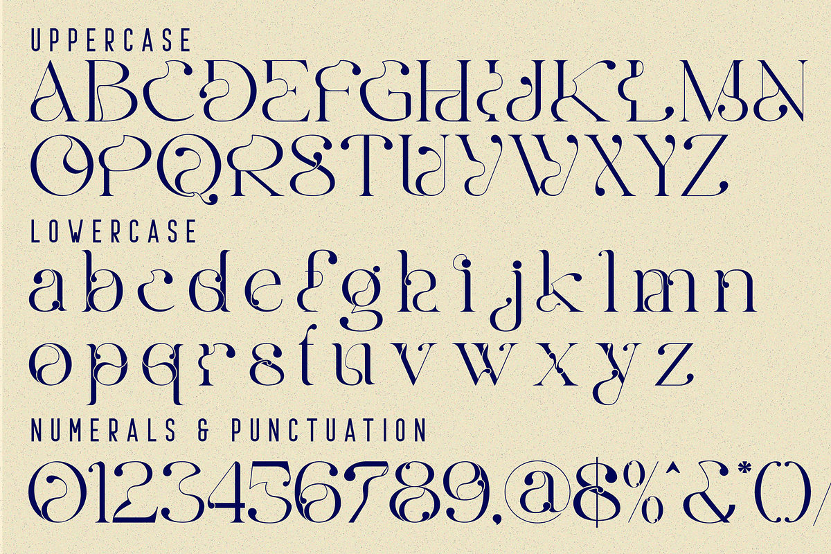 Deliberate Rationality - Modern Font, a Serif Font by 177Studio (Photo 8 of 8)