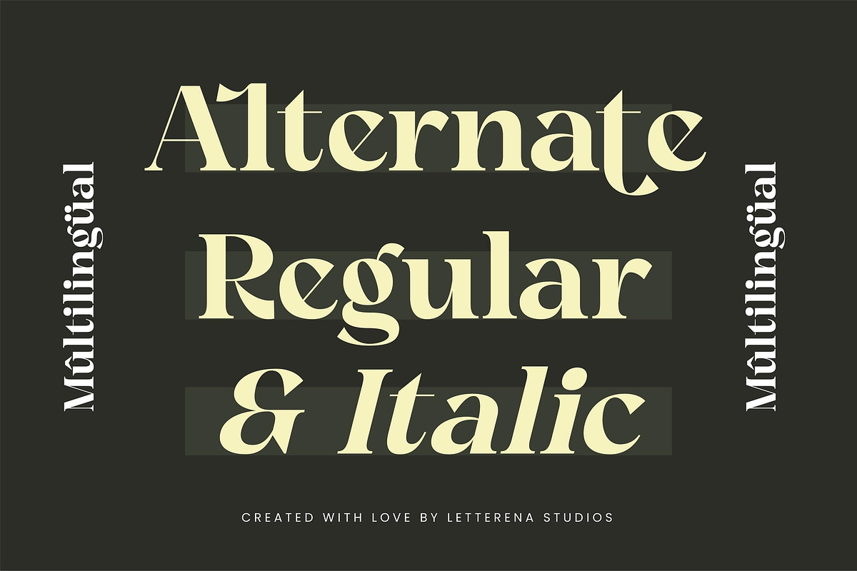 Angfia Relaftio Modern Serif Font, a Script Font by Letterena Studios (Photo 9 of 15)