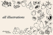 Minimalist Fruits Illustrations PACK, a Decorative Illustration by ginni illustrations (Thumbnail 6 of 6)