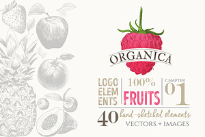 ORGANIC LOGO ELEMENTS – FRUITS