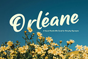 Orléane – Classic Handwritten Script, a Handwritten Font by Inviline.co (Thumbnail 10 of 10)