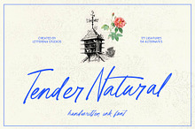 Tender Natural Handwritten Ink Font