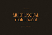Delinoswa, a Serif Font by Cruzine (Thumbnail 8 of 8)