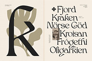 Bjork Serif, a Serif Font by CCS-Type.com (Thumbnail 23 of 30)