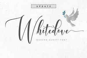 Whitedove Modern Script - UPDATE!