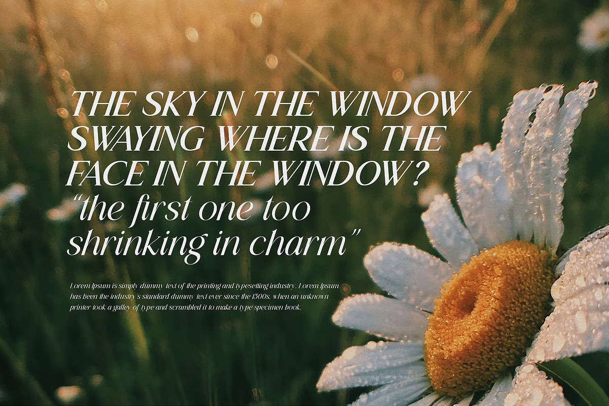 Lessa - Serif Font (10 Fonts), a Serif Font by Maculinc Type (Photo 15 of 18)