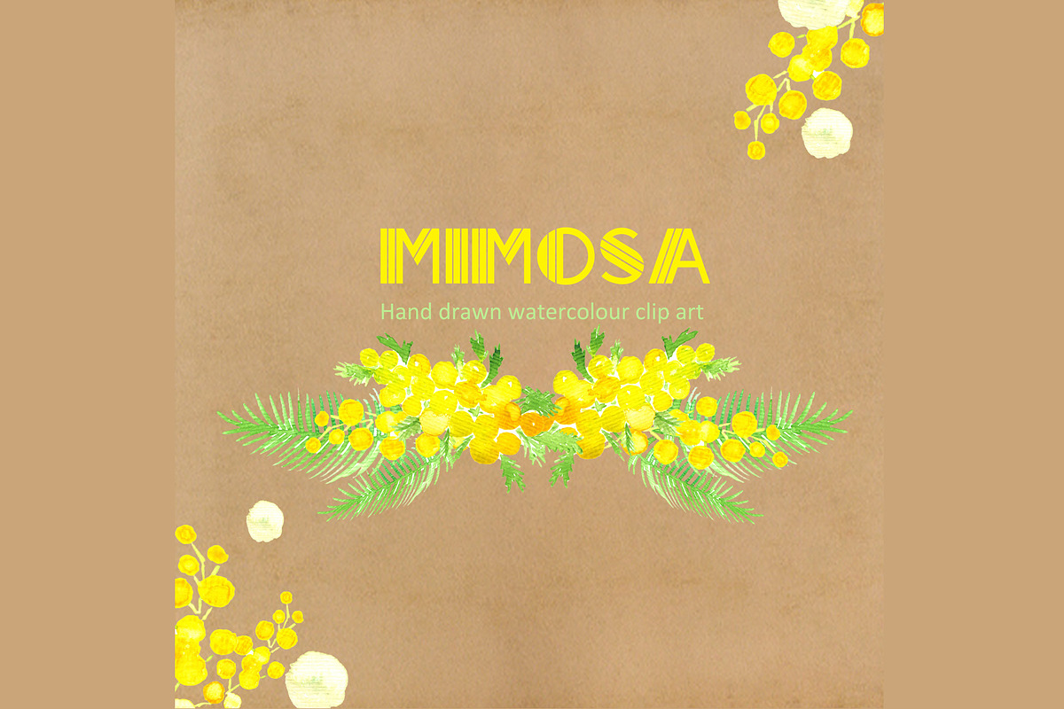 Mimosa  Watercolor Clip Art, an Illustration by LABFcreations (Photo 2 of 4)