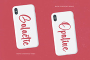 Selynadia Bold Brush Font, a Script Font by stylishtype.co (Thumbnail 2 of 20)