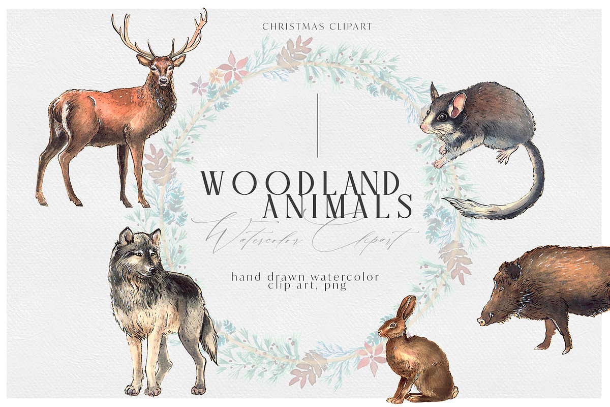 Watercolor Christmas Wild Forest Set, an Animal Illustration by NassyArt (Photo 1 of 9)