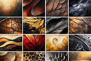 Organic textures collection, a Texture Graphic by pictures for you (Thumbnail 9 of 21)