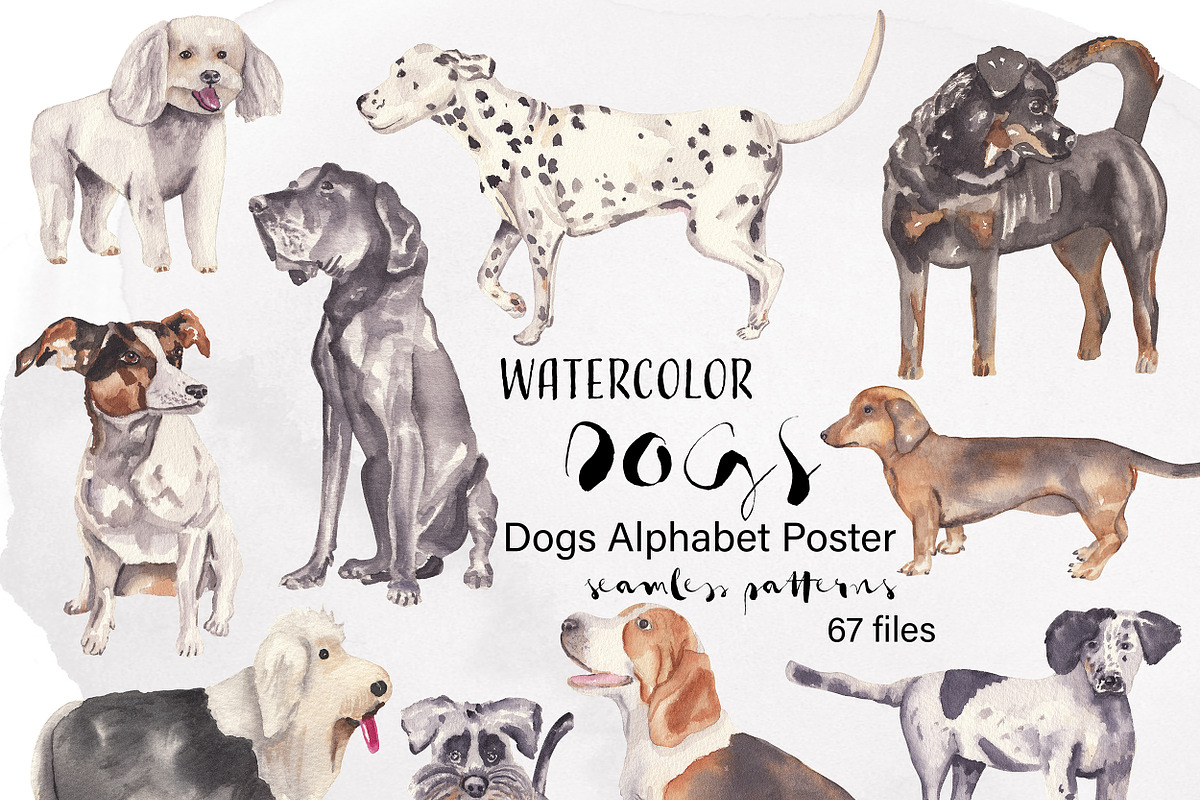 Dogs Alphabet, clipart & patterns, an Animal Illustration by Visual Animal (Photo 1 of 8)