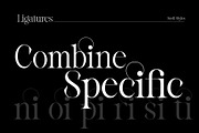 Reichamerina font family, a Serif Font by Ryul Davidson (Thumbnail 19 of 27)