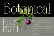 Blunder Modern Serif Typeface, a Serif Font by Alfinart (Thumbnail 6 of 10)