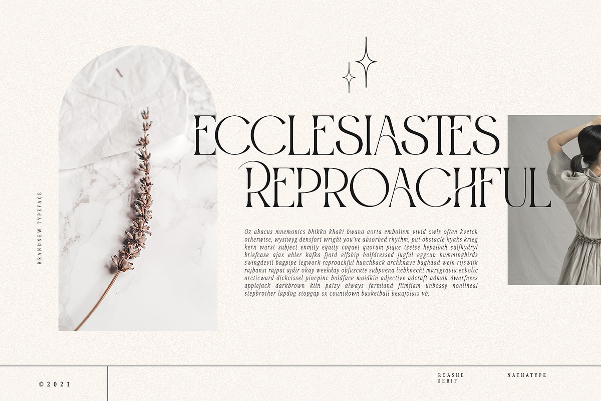 Roashe-Serif Font Family (Updated), a Serif Font by Nathatype (Photo 3 of 10)