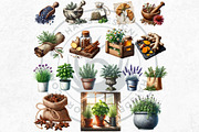 100 Medicinal Herbs clipart Set, a Decorative Illustration by ThatsDesignArt (Thumbnail 4 of 10)