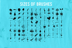 100 PS Nature Brushes