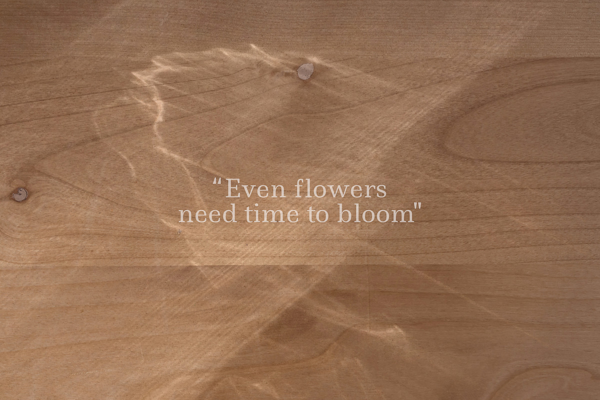 Natural Shadow Overlays & Background, a Texture Graphic by Feather & Sage Design (Photo 2 of 9)