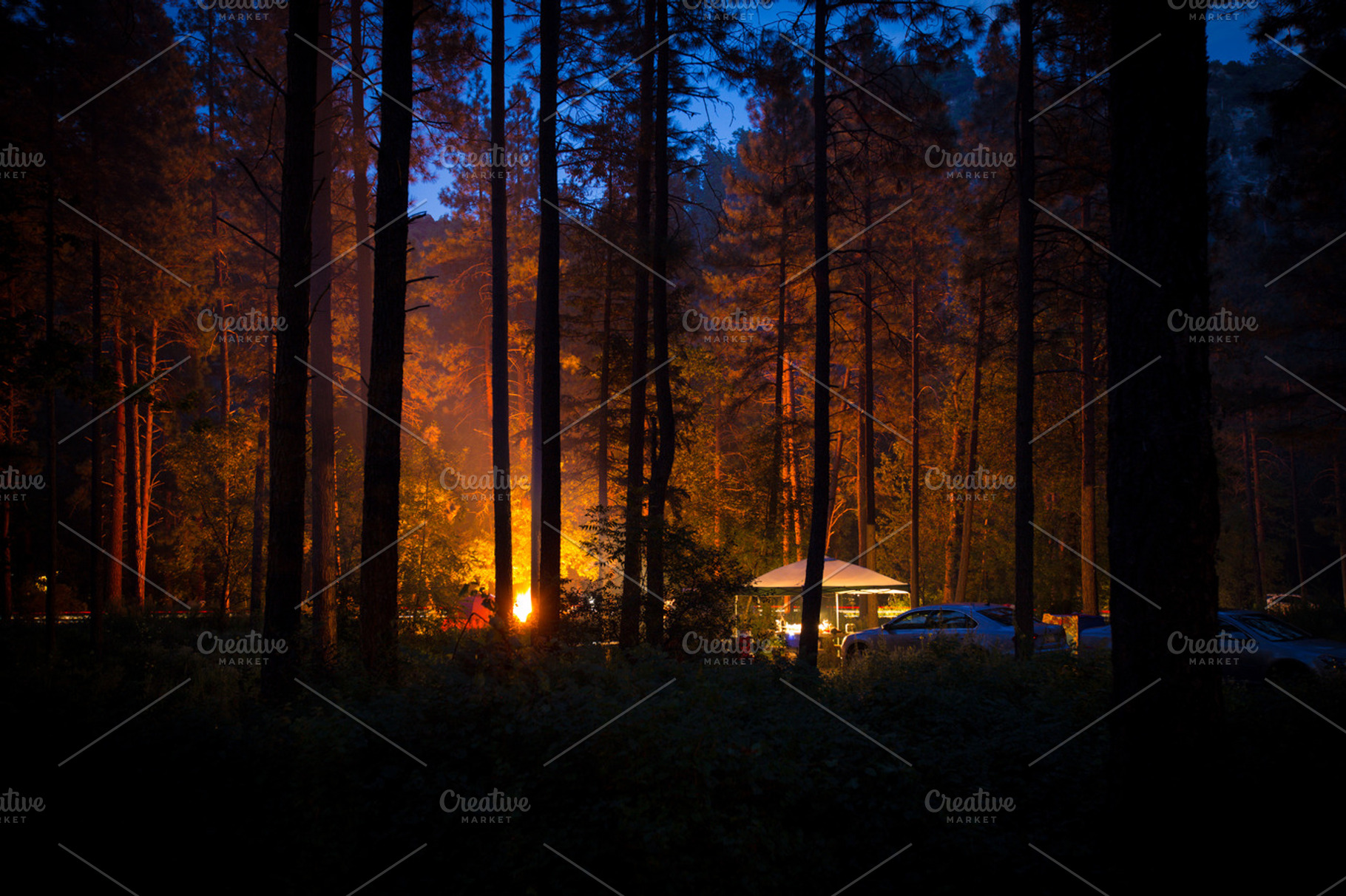 Campfire Light in the Forest Night, a Nature Photo by Mr Geoff