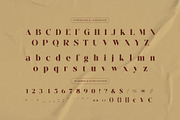 Cersik – Elegant Modern Serif Font, a Serif Font by BrandSemut (Thumbnail 2 of 10)