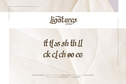 Marsheleena - Stylistic Serif Font, a Script Font by Font De Rico (Thumbnail 6 of 8)