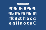 Mighty Swifta Display Serif Font, a Sans Serif Font by timelesstype.co (Thumbnail 13 of 15)