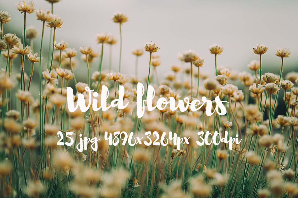 Wild Flowers II, a Templates & Theme by ApertureVintage (Photo 4 of 14)