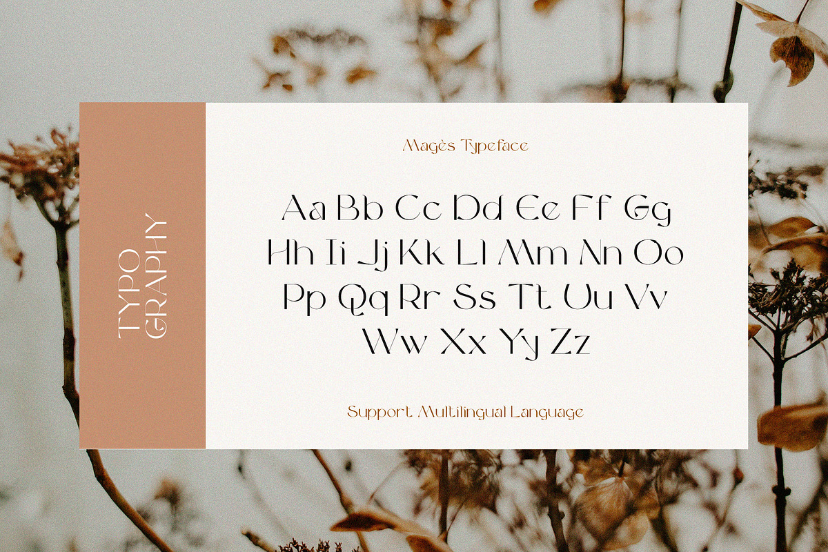 Magès - Modern Serif Typeface, a Serif Font by Graphicfresh (Photo 9 of 10)