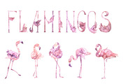 -20% Tender Flamingo Alphabet, an Illustration by Cat In Colour (Thumbnail 8 of 10)