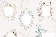 WINTER FLORALS watercolor set, a Decorative Illustration by Yuliia Lashevska (Thumbnail 8 of 12)