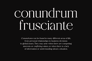 Tangier - Classy Modern Serif, a Serif Font by Viswell (Thumbnail 3 of 12)