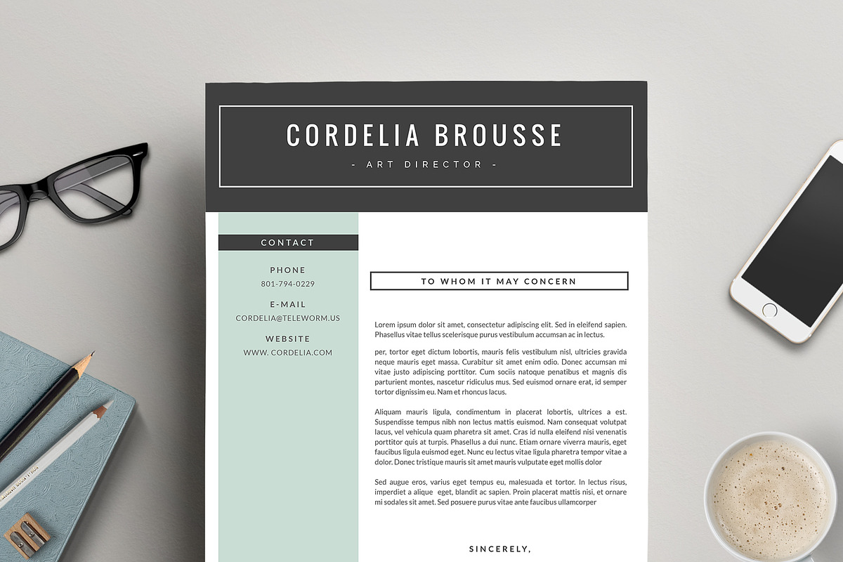 Resume Template 3 Pages, CV Template, a Resume Template by This Paper Fox (Photo 3 of 5)
