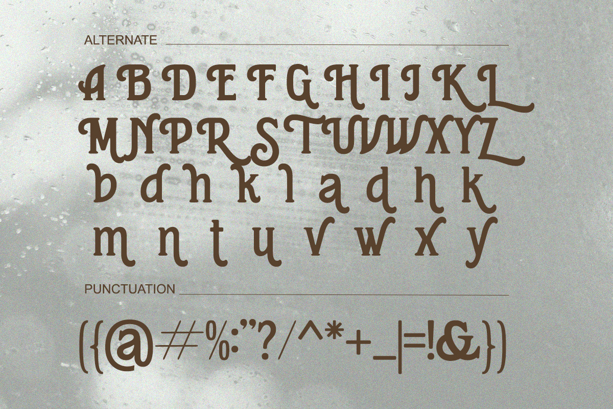 Heartfield - Vintage Condensed, a Serif Font by Qweera Studio (Photo 10 of 12)