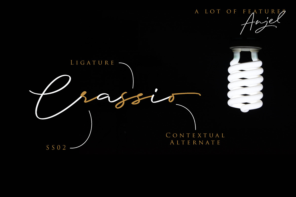 Anjel // Classy Signature Font, a Script Font by Masanis (Photo 10 of 16)