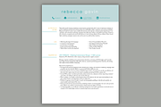Marketing Resume | Modern Template, a Resume Template by Scribbled Napkin Design (Thumbnail 2 of 5)