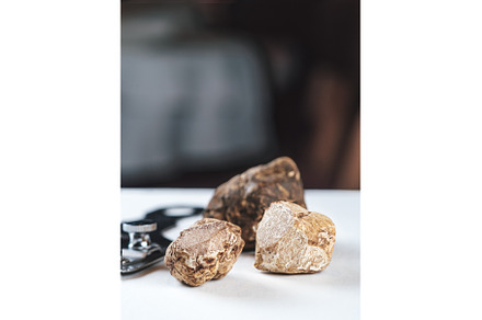Black truffles gourmet mushrooms, a Food & Drink Photo by Fascinadora