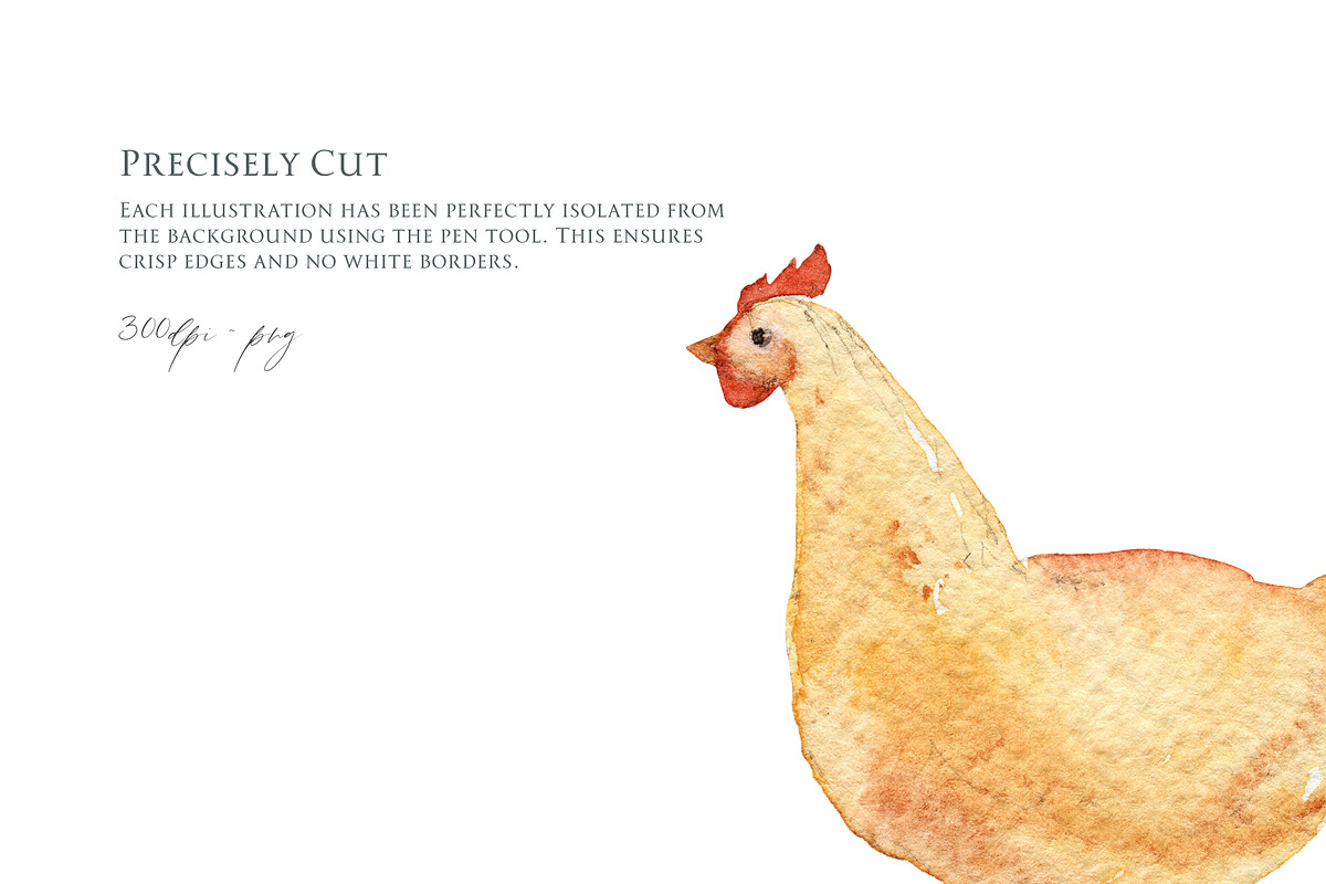 Watercolor Animals Clipart Set, an Object Graphic by NiKO (Photo 3 of 4)
