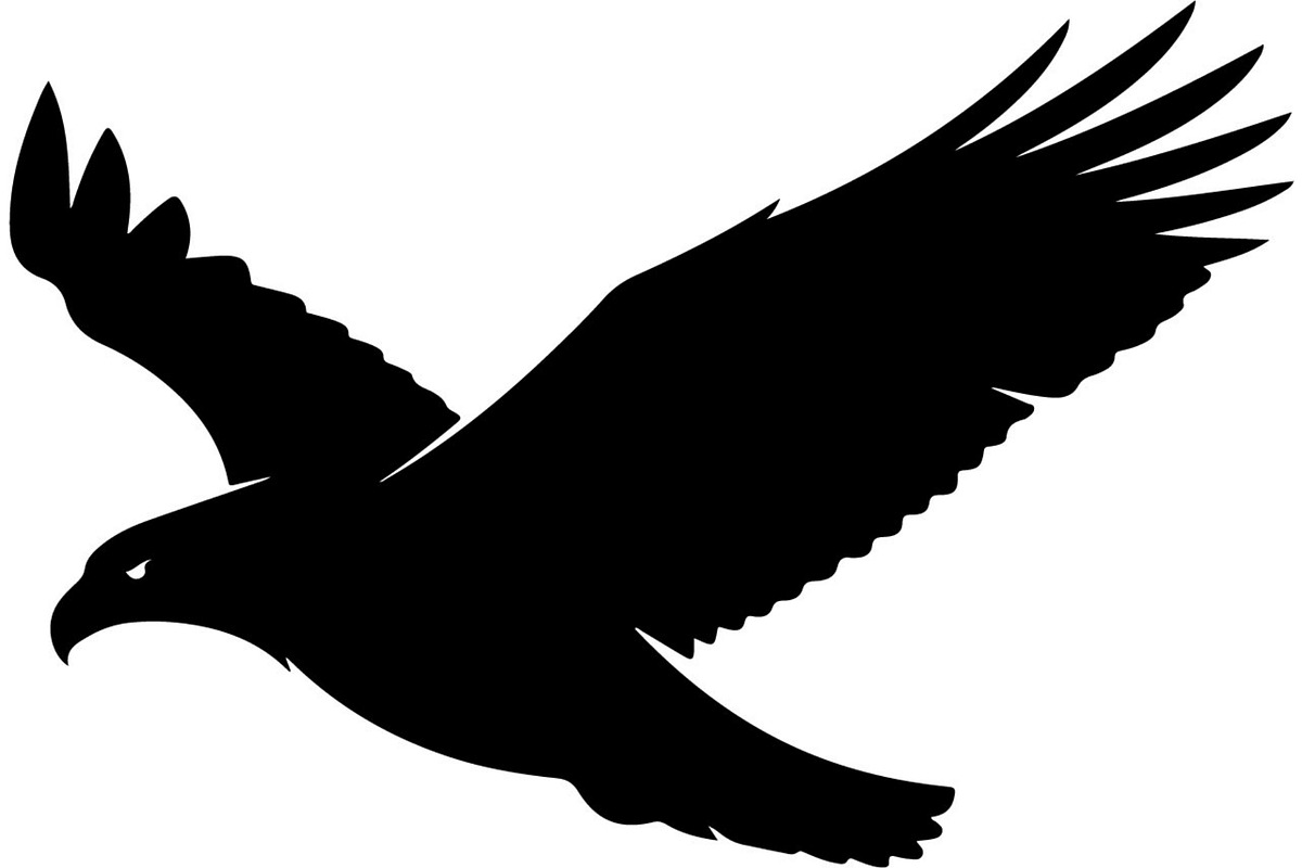 Forest Sky Birds Illustration Vector, an Animal Illustration by Designer_Momina (Photo 10 of 21)