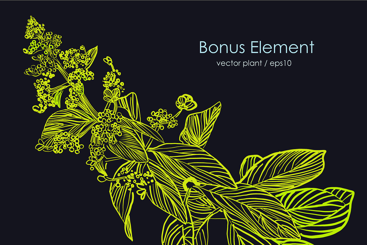 Wild Tropical Patterns, a Pattern Graphic by ANAKOTO (Photo 14 of 14)
