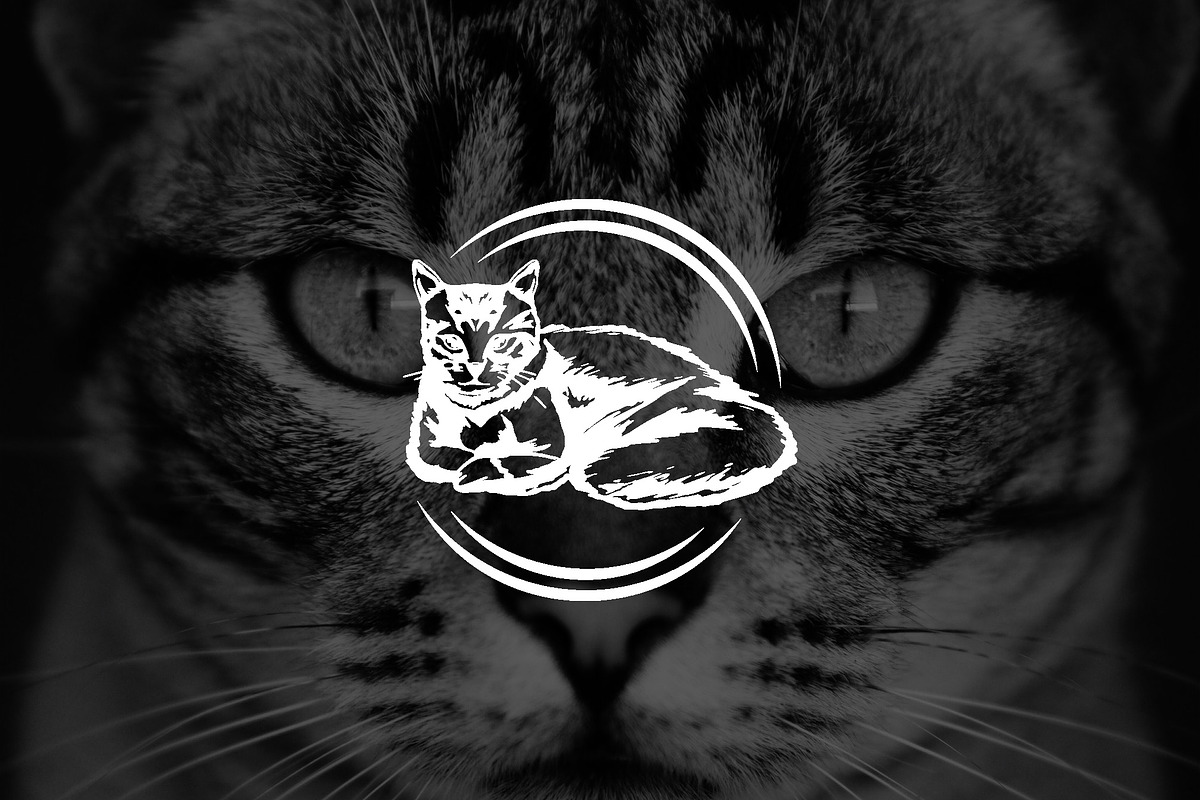 Wild Cat Mascot Logo, a Branding & Logo Template by Luxury Logos (Photo 3 of 4)
