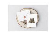 Tree Stump watercolor Clipart., a Decorative Illustration by NKTKNS (Thumbnail 5 of 5)